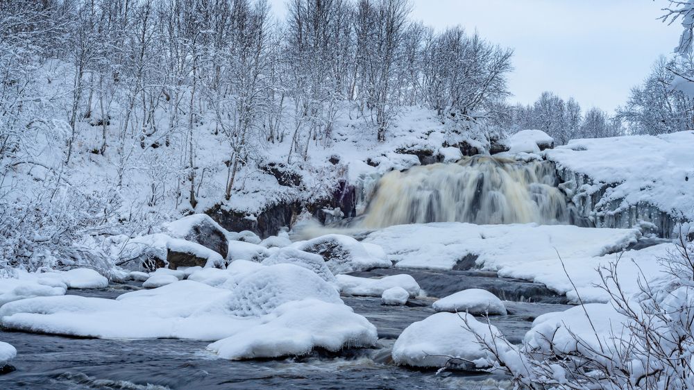 Photograph by Оксана Кузнецова