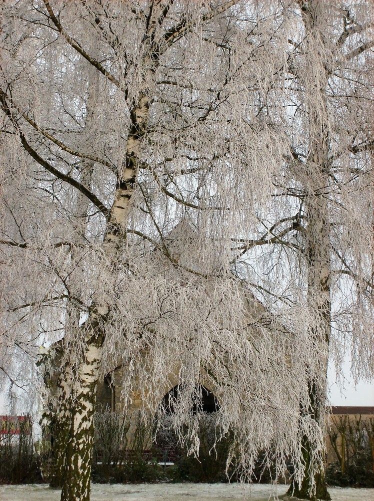 Photograph by Юрий Варзобский