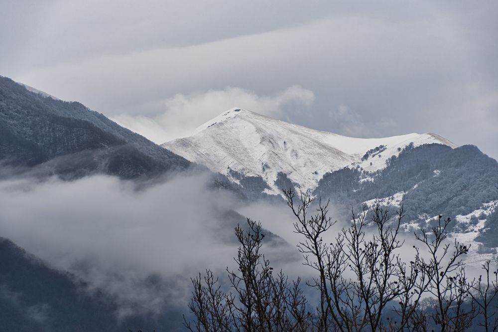 Photograph by Manjri Saxena
