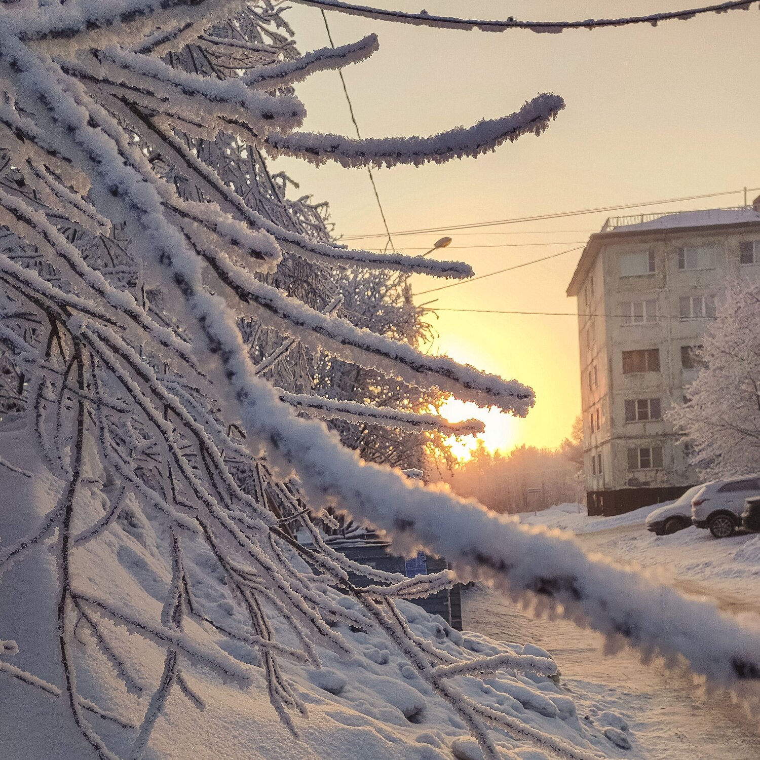 Photo #7197192