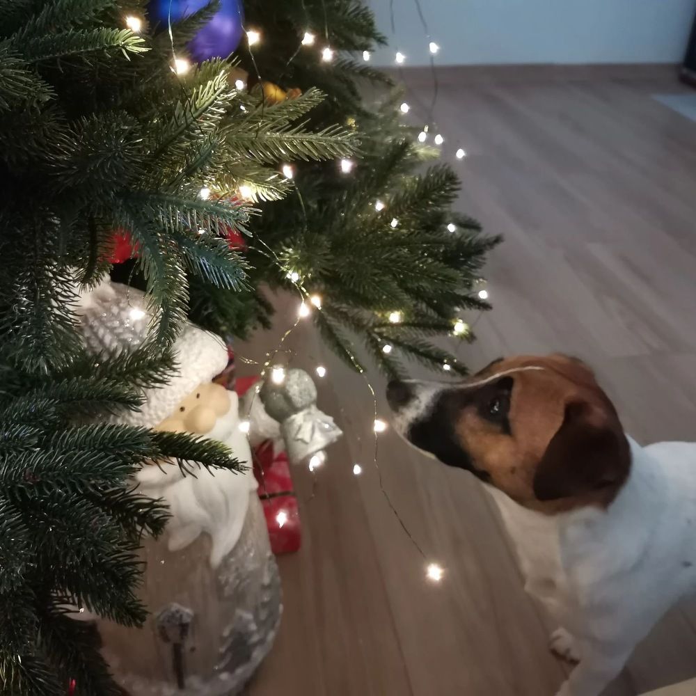 Photograph by Roman Mazo