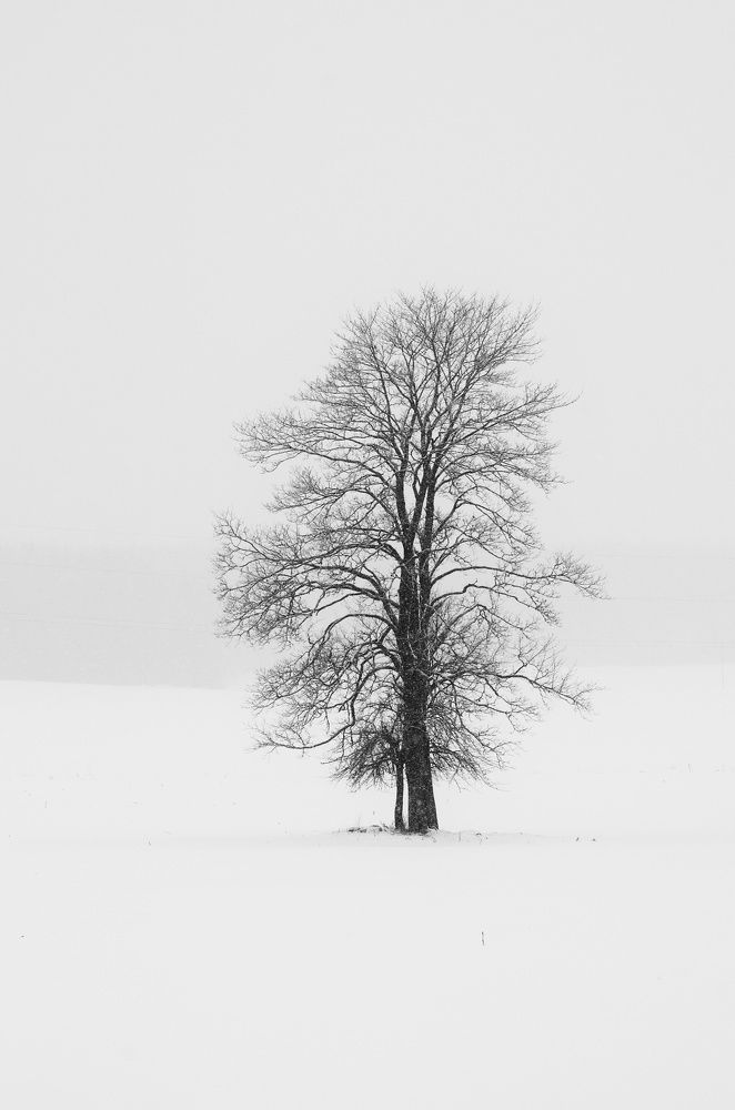 Фотография автора Никита Русецкий