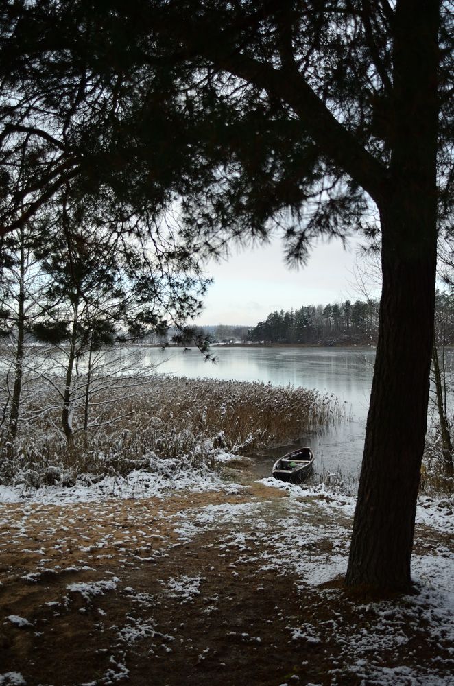 Фотография автора Никита Русецкий