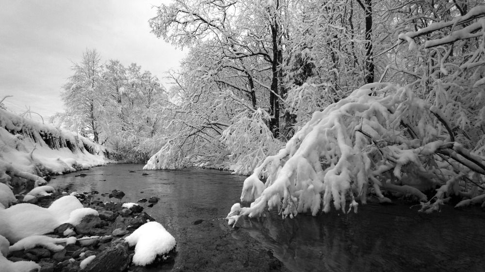 Photograph by Sven Rok