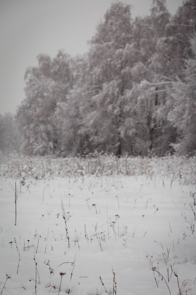 Photograph by Анастасия Петрова