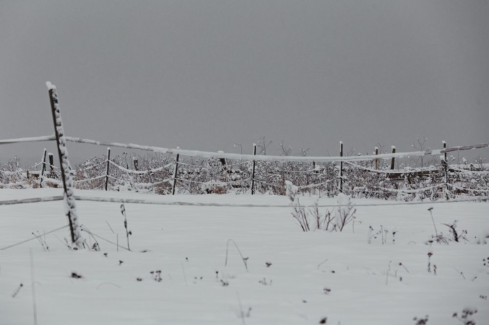 Photograph by Анастасия Петрова