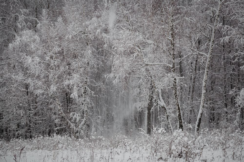 Photograph by Анастасия Петрова