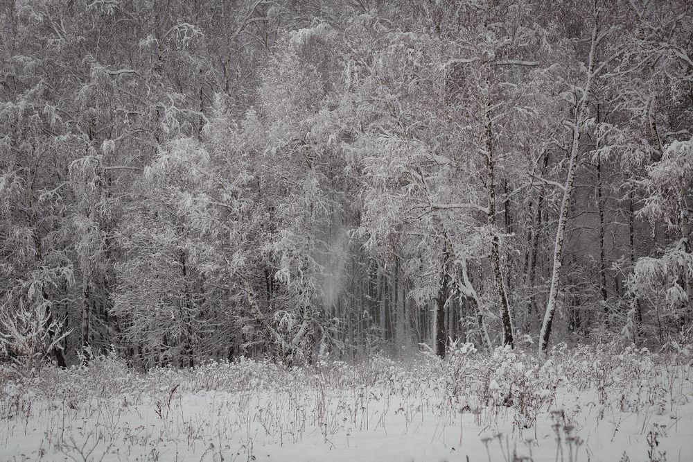 Photograph by Анастасия Петрова