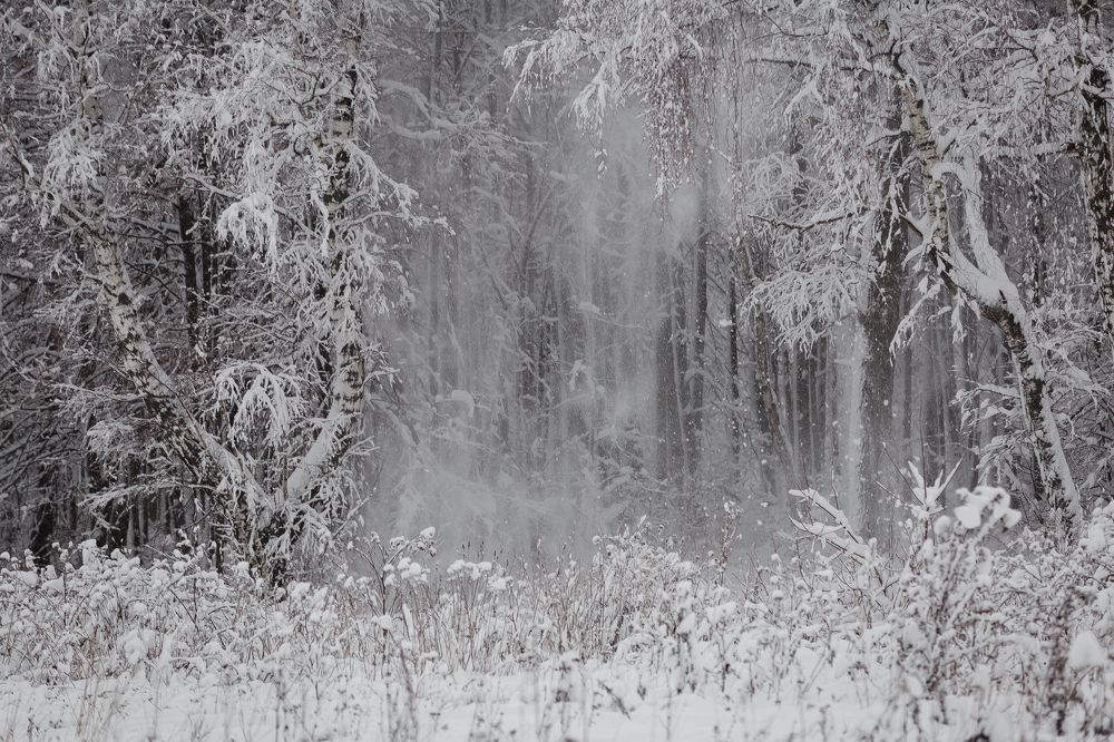 Photograph by Анастасия Петрова