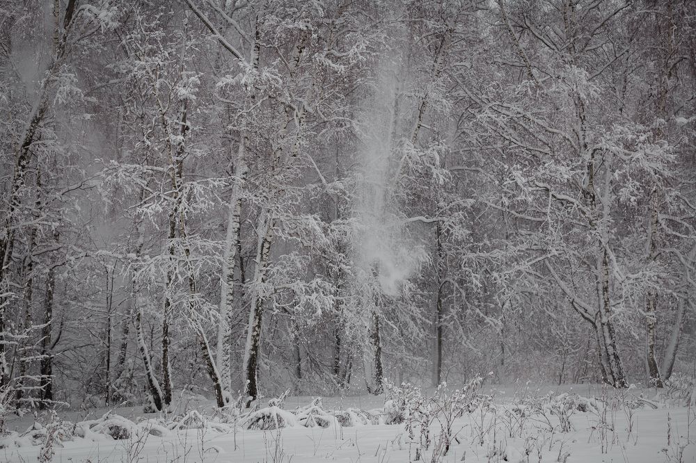 Photograph by Анастасия Петрова