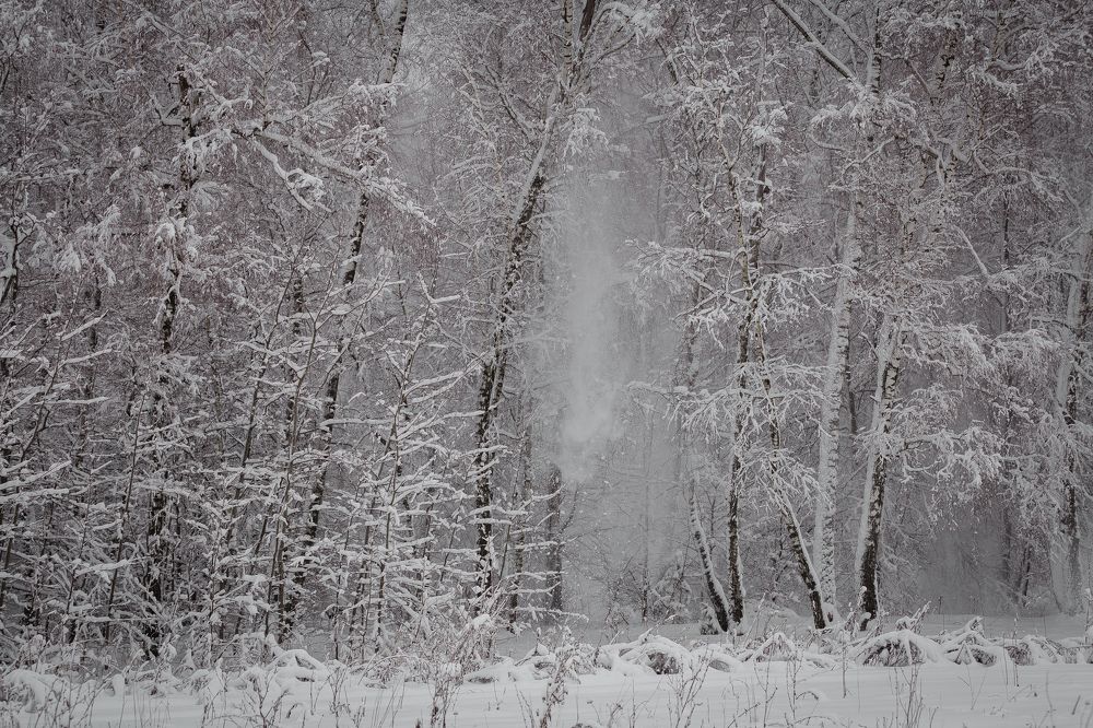 Photograph by Анастасия Петрова