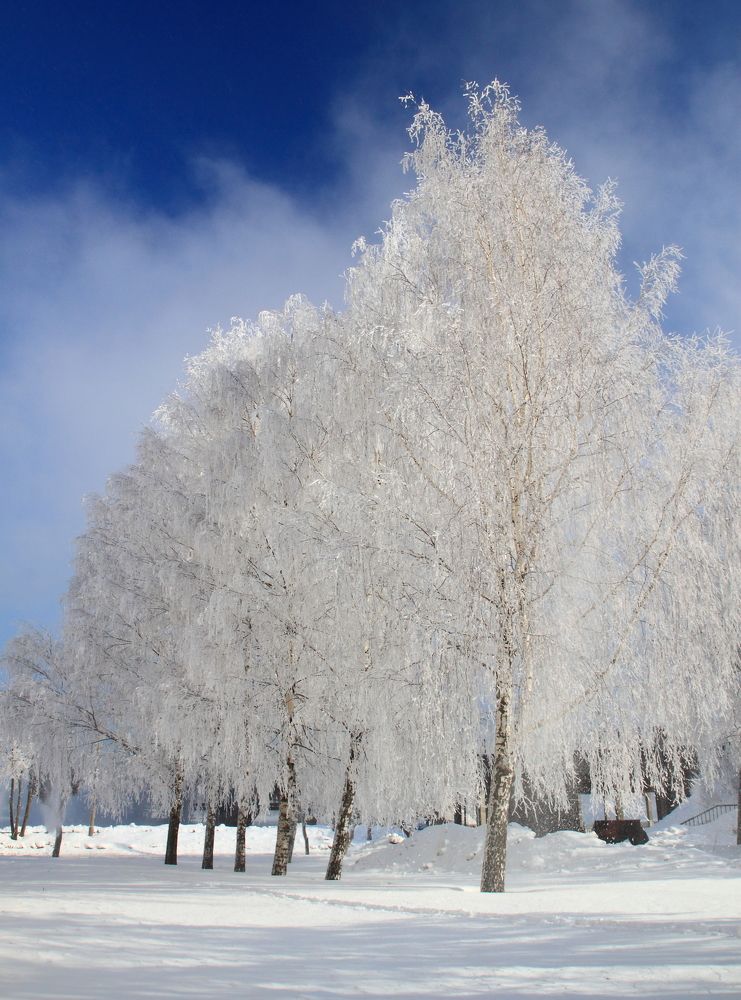 Photograph by vyacheslav korobov