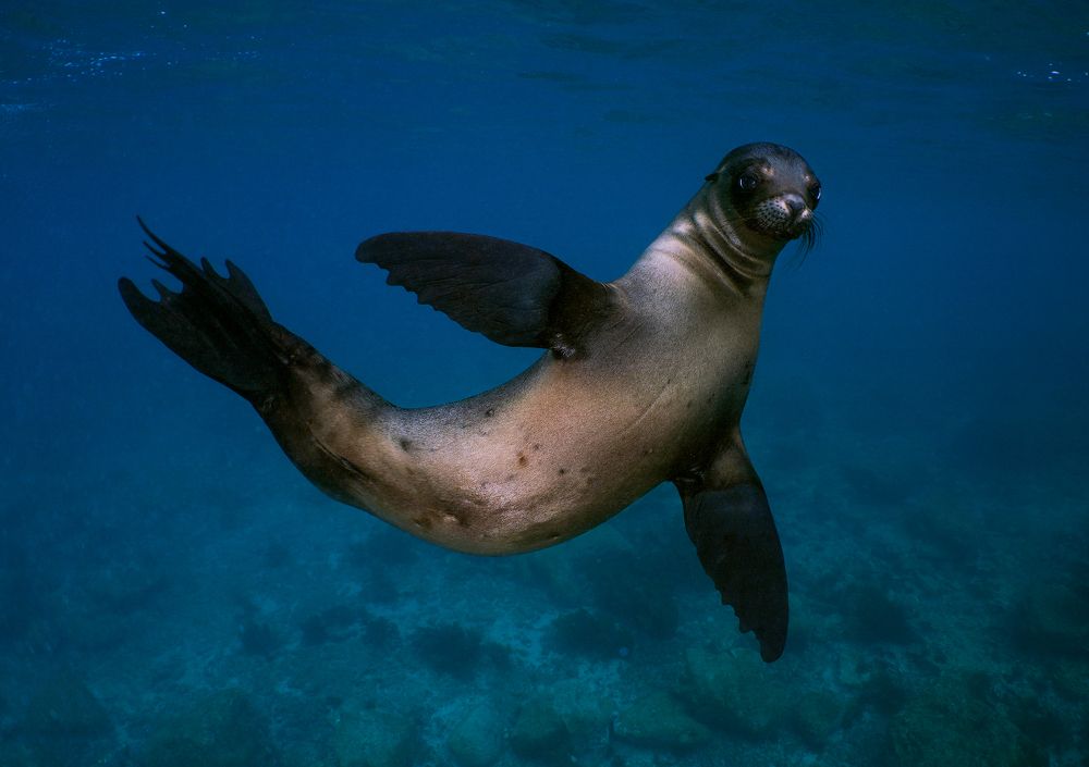 Photograph by daniele comin