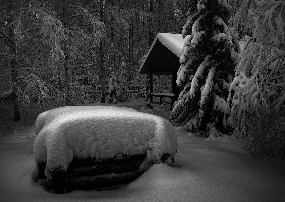 Photograph by Сергей Алексеев