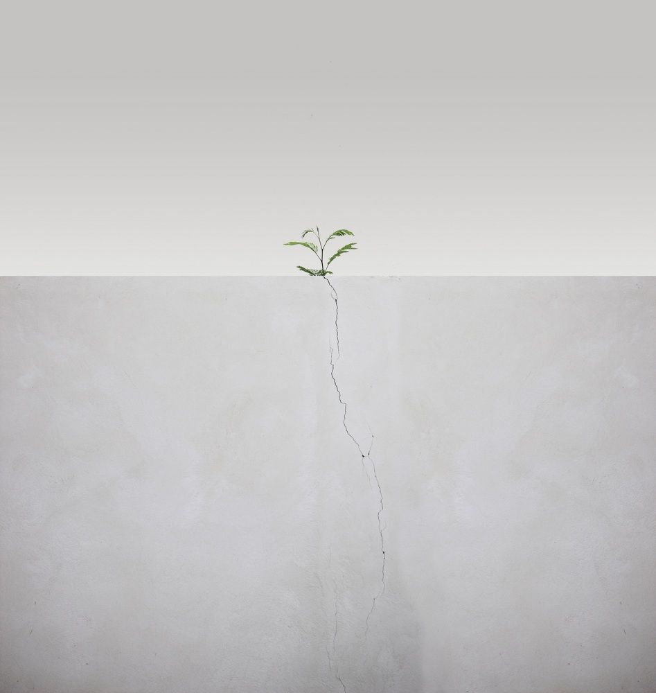 Photograph by abbas valadi