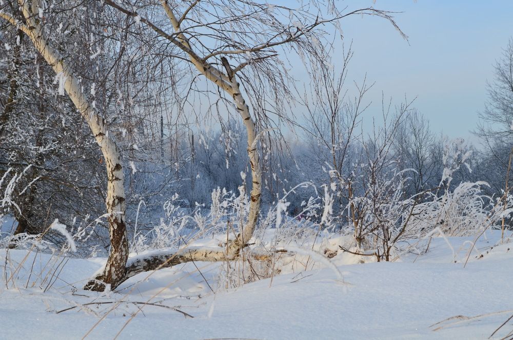 Photograph by Ирина Сыровежкина