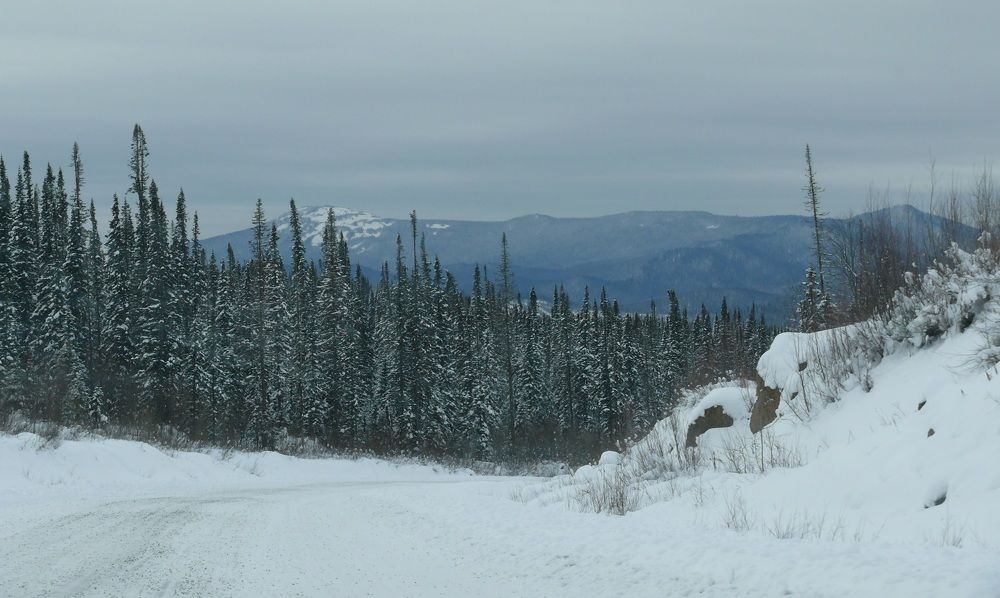 Photograph by Людмила Федорчак