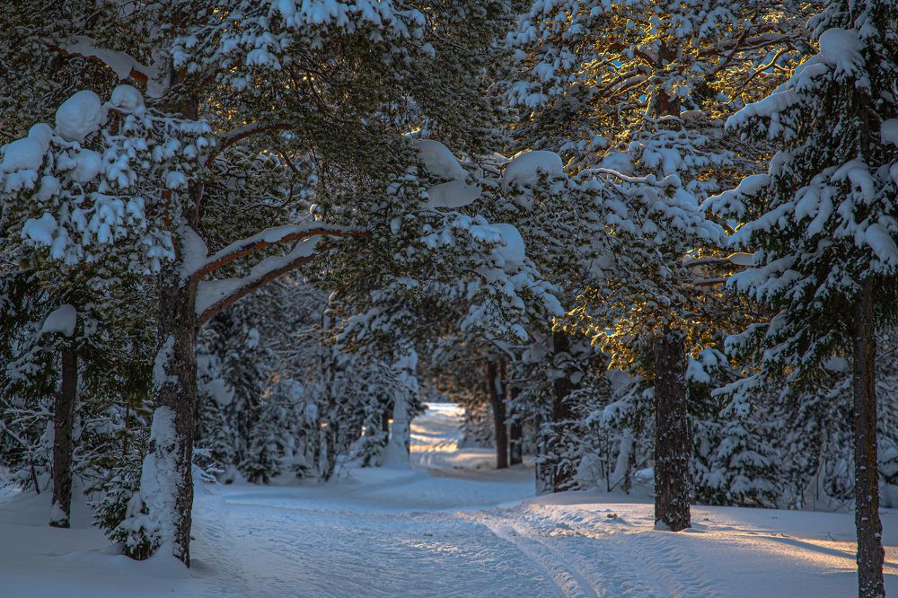 Photograph by Александр Бакин