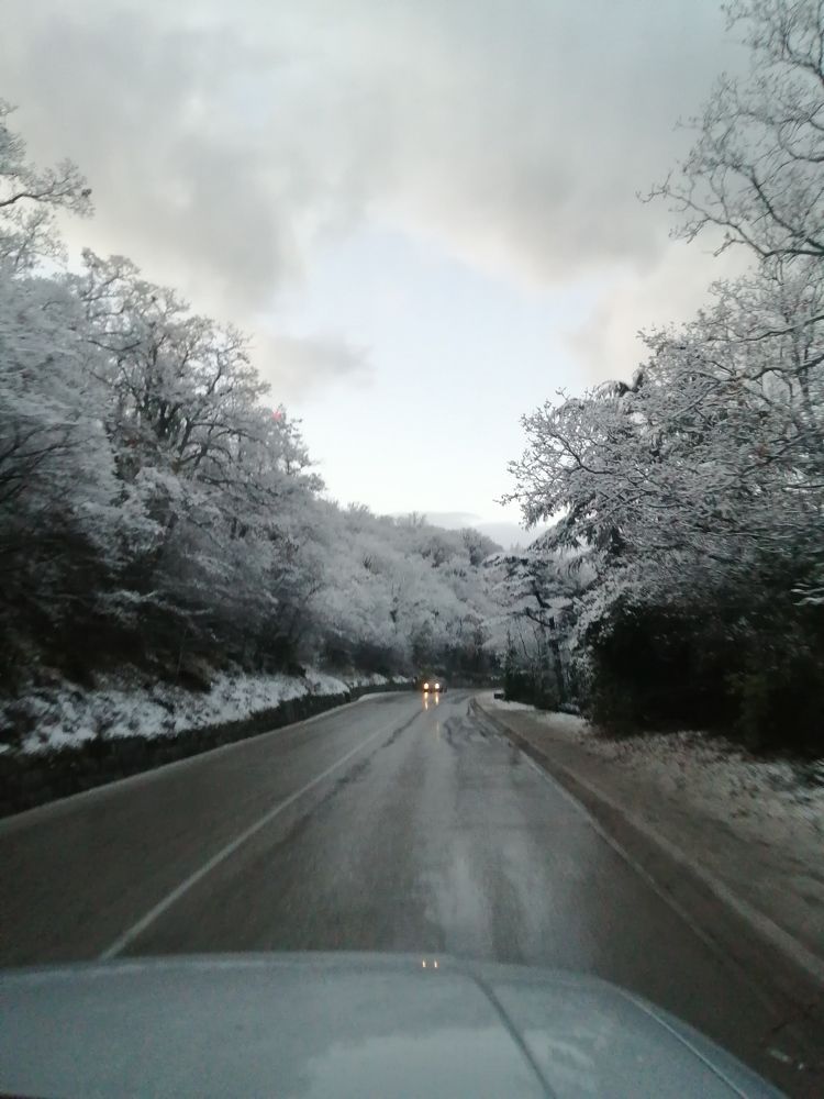 Photograph by Сокол Евгений