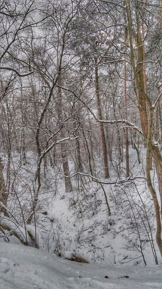 Photograph by Дарья