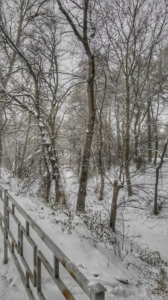 Photograph by Дарья