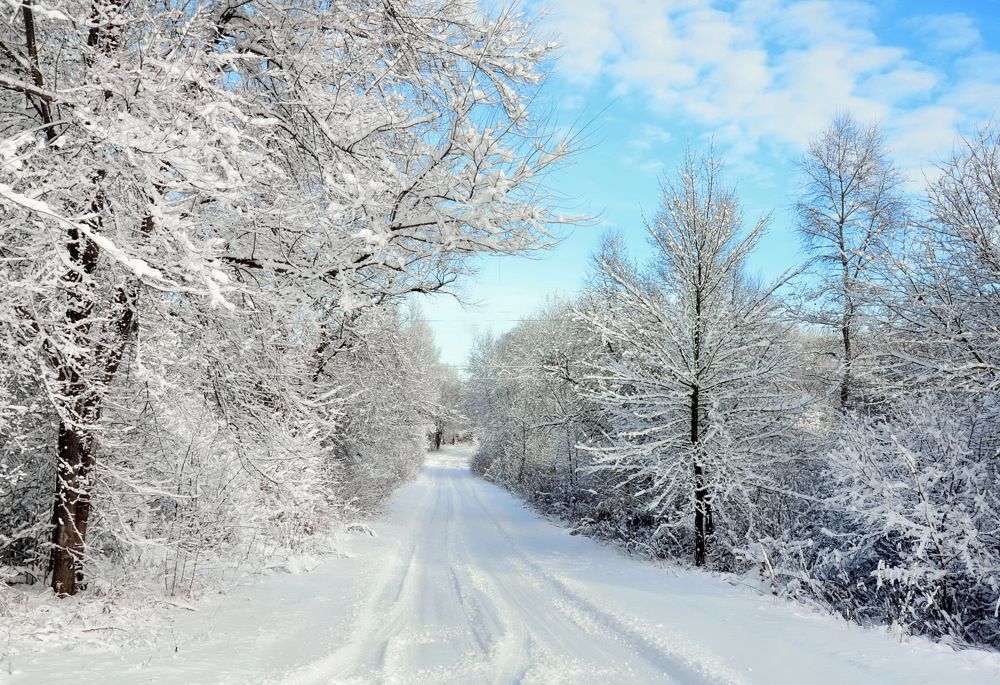 Photograph by Владимир Тертышник