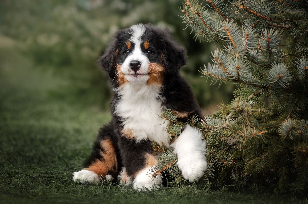 Photograph by Екатерина Кикоть