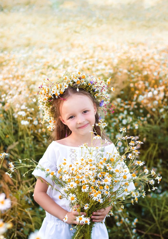 Ромашковое счастье