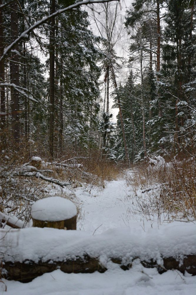 Photograph by Анатолий Орлов