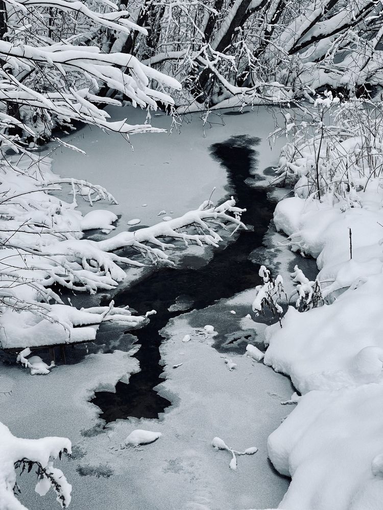 Photograph by Наталья Сережко