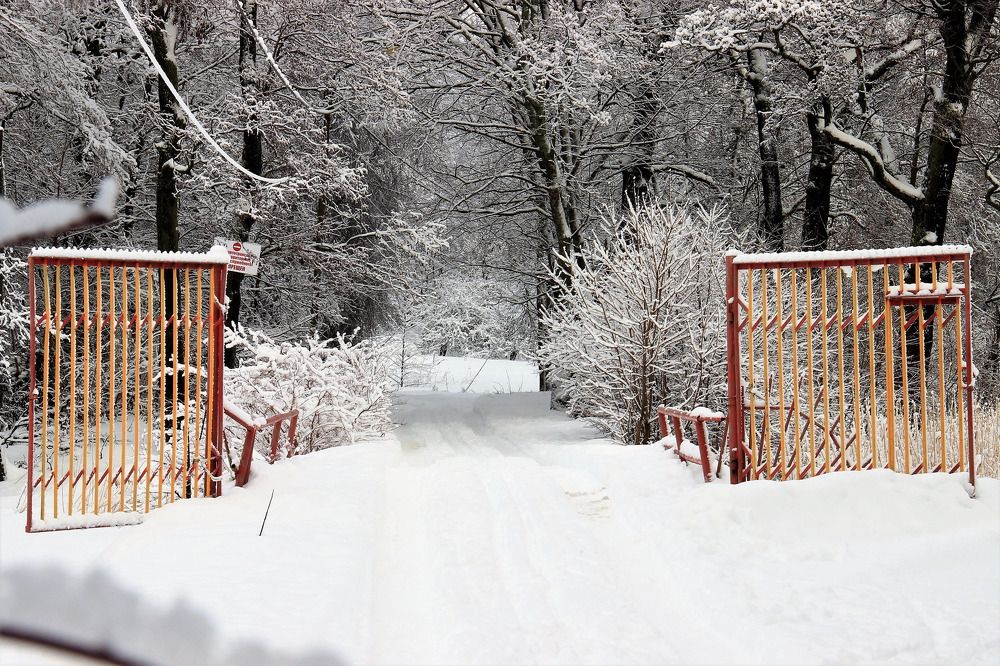 Photograph by Анна