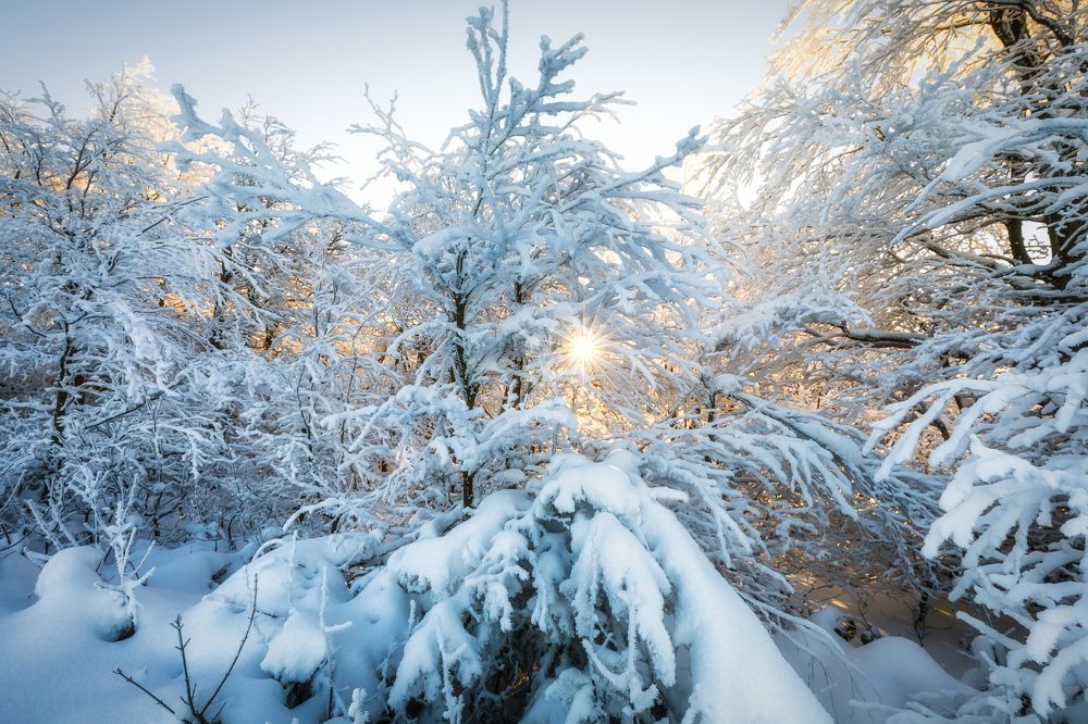 Photograph by Miroslav Konfál