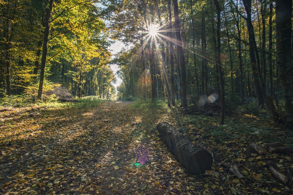 Фотография автора Владислав Марухин