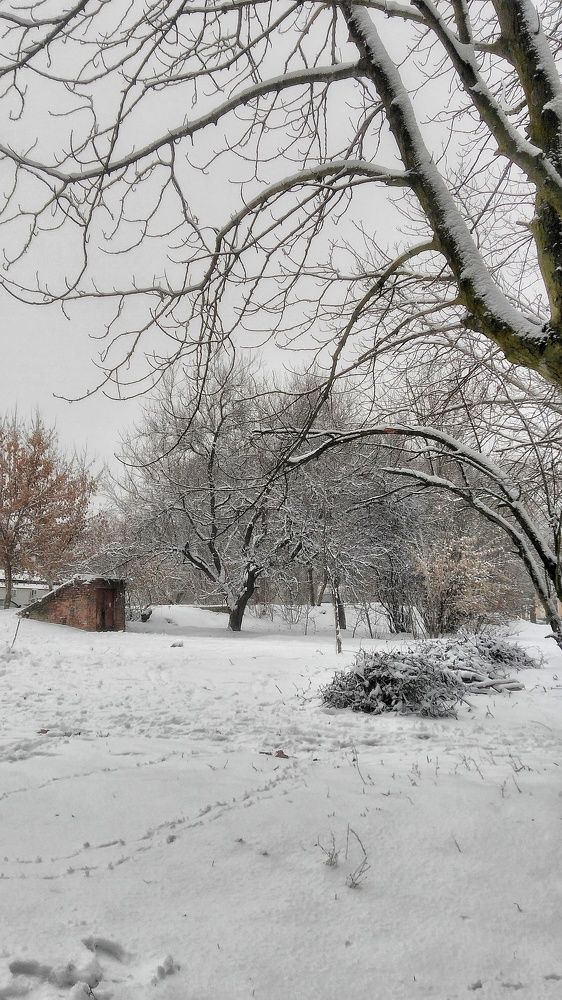 Photograph by Дарья