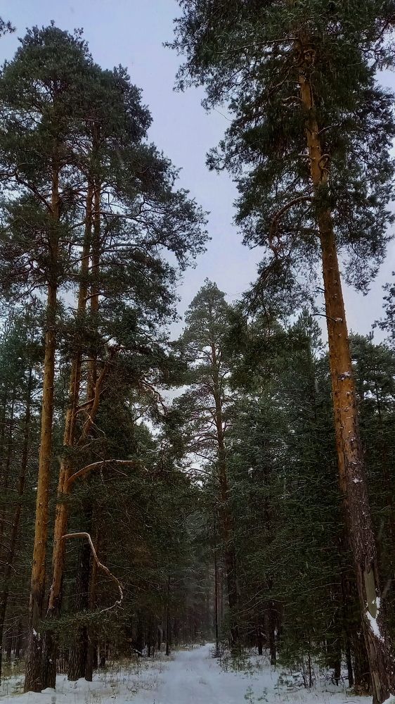 Photograph by Viktoria Vavilkina