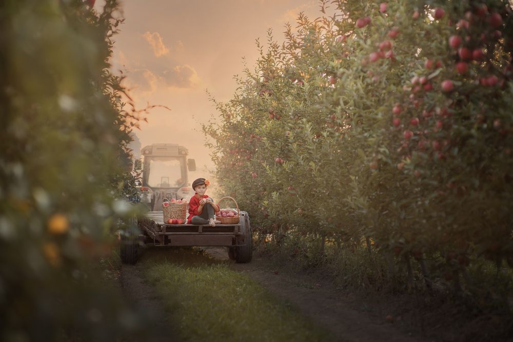 Photograph by Ольга Цаулян