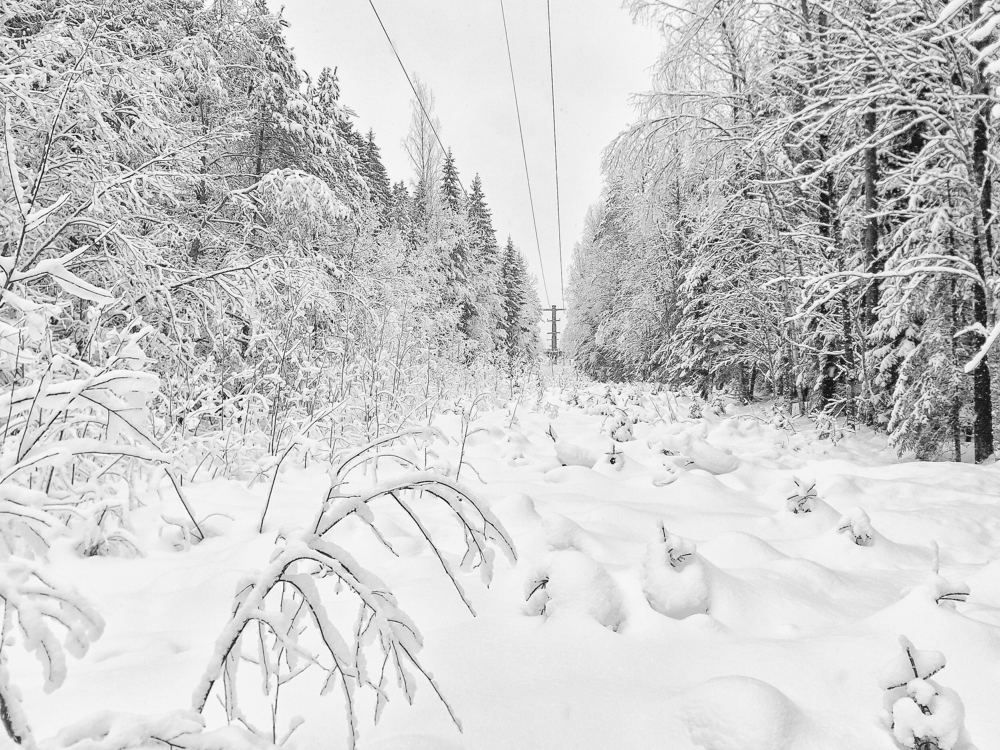 Photograph by Александр Авдушев