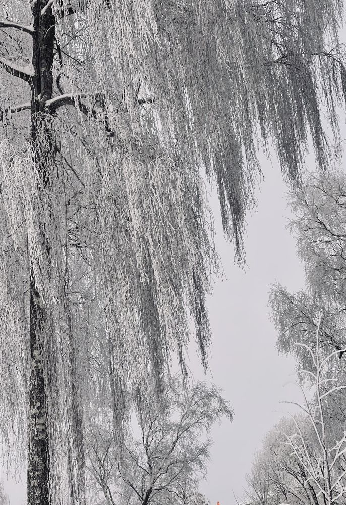 Photograph by Наталья Сережко