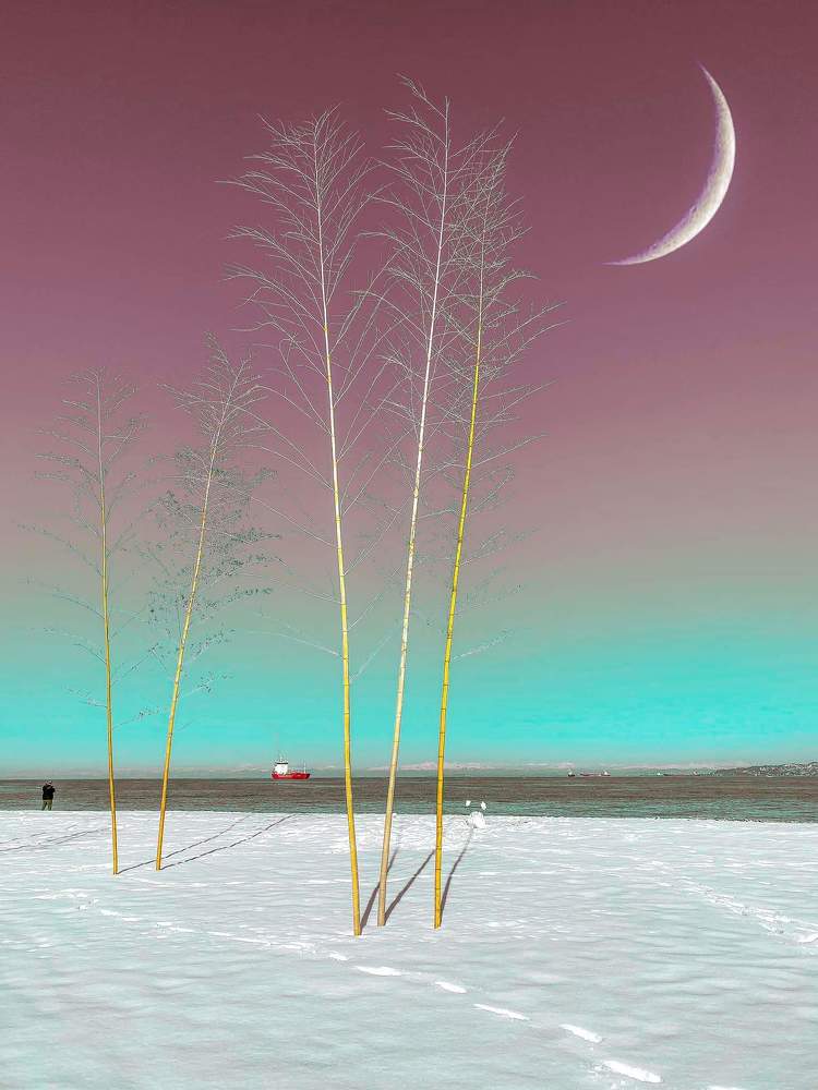 Photograph by Ламара Авалишвили