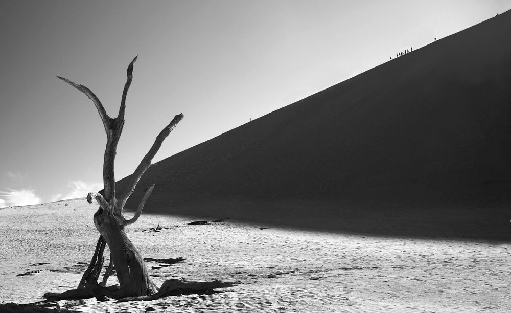 Photograph by Вера