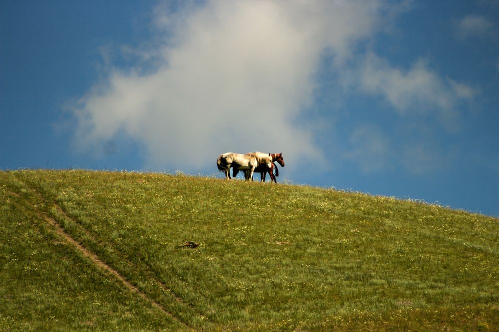 Photograph by Natalia Bobrova