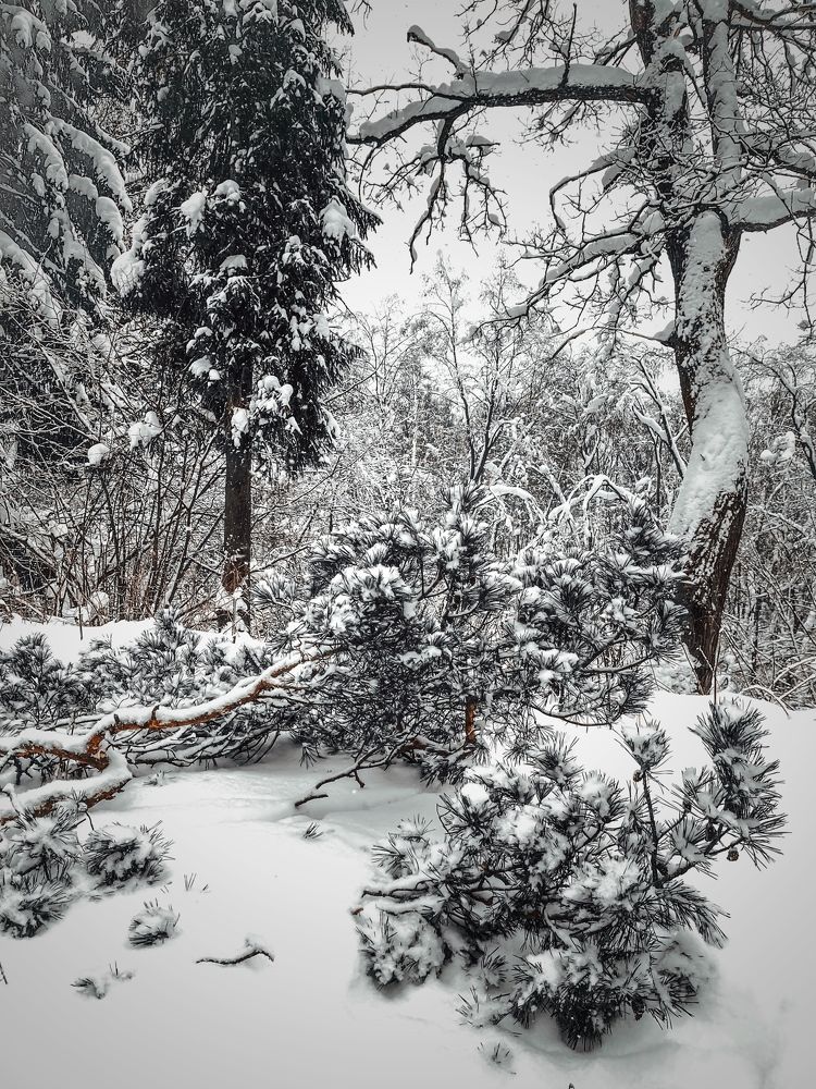 Photograph by Наталья Сережко