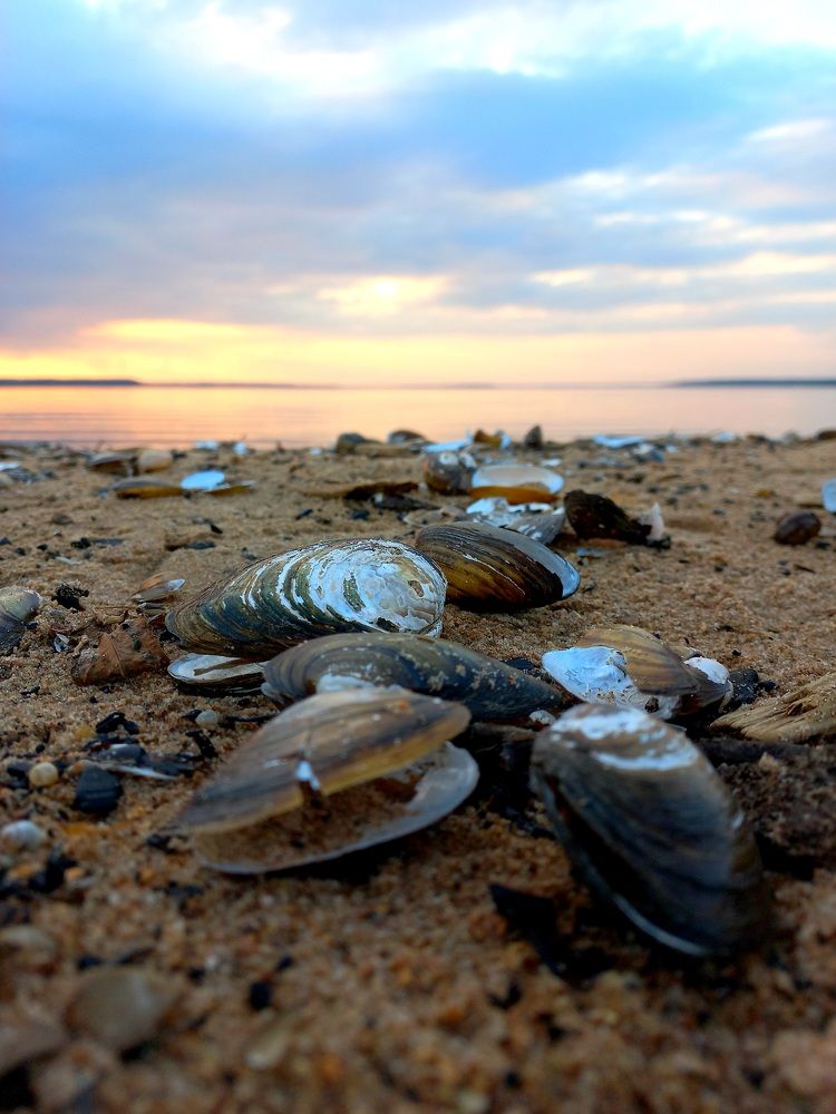 Photograph by Зоя