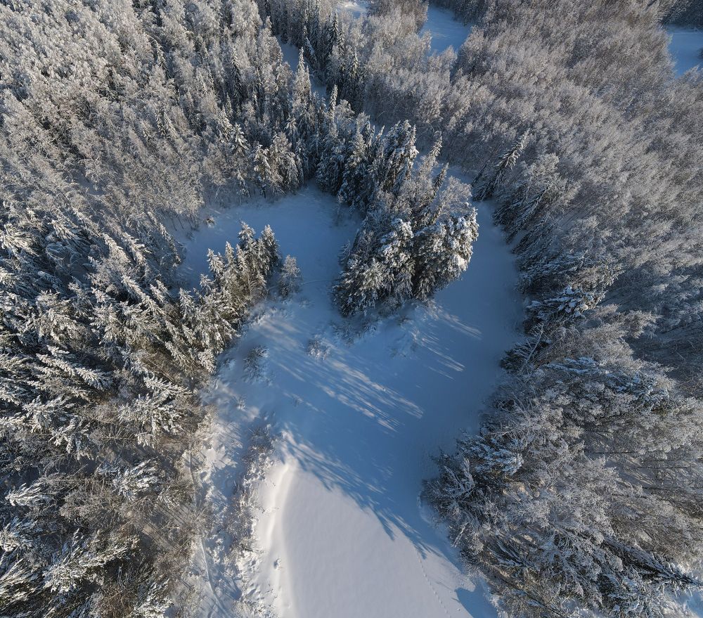 Photograph by Татьяна Борисова