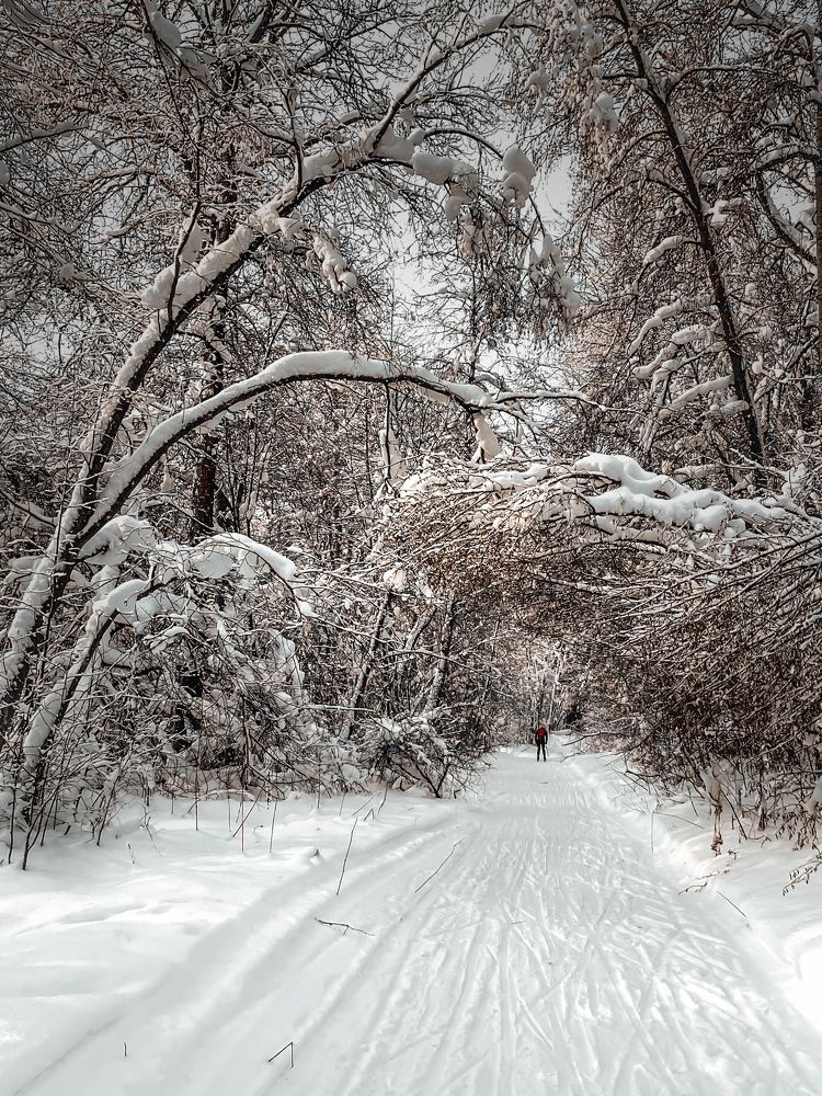 Photograph by Наталья Сережко