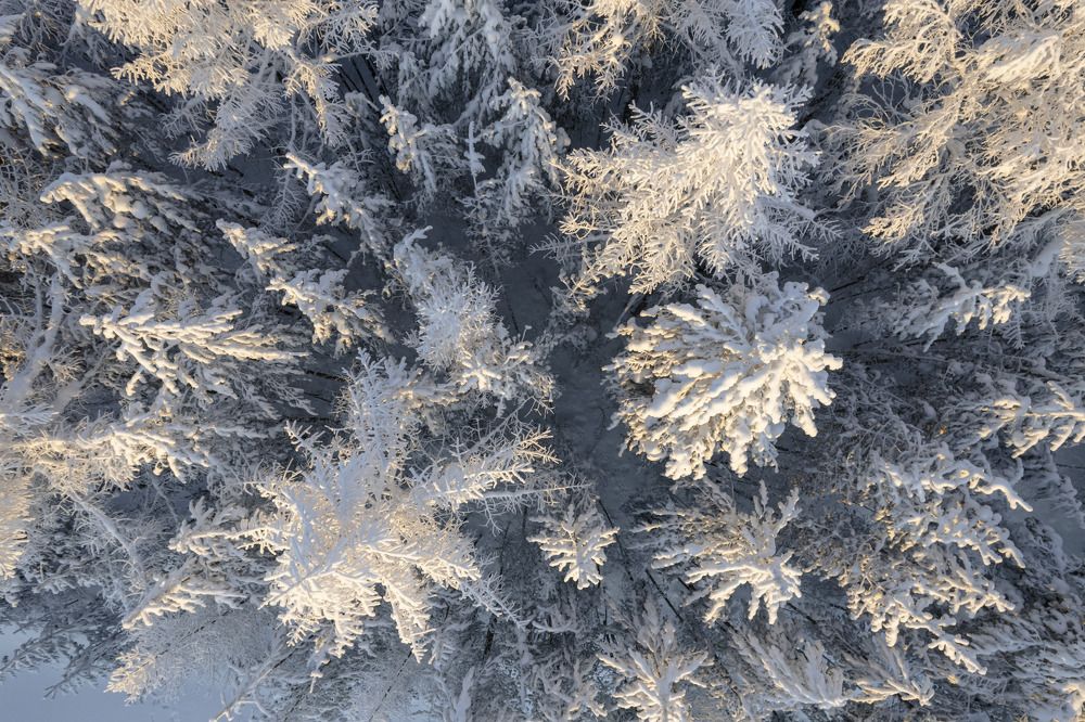 Photograph by Татьяна Борисова