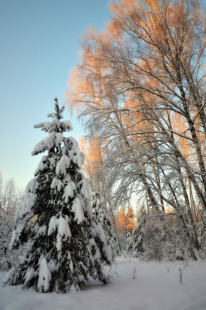 Photograph by Сергей Алексеев