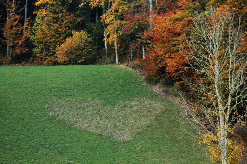 Photograph by Диана Ульянцева