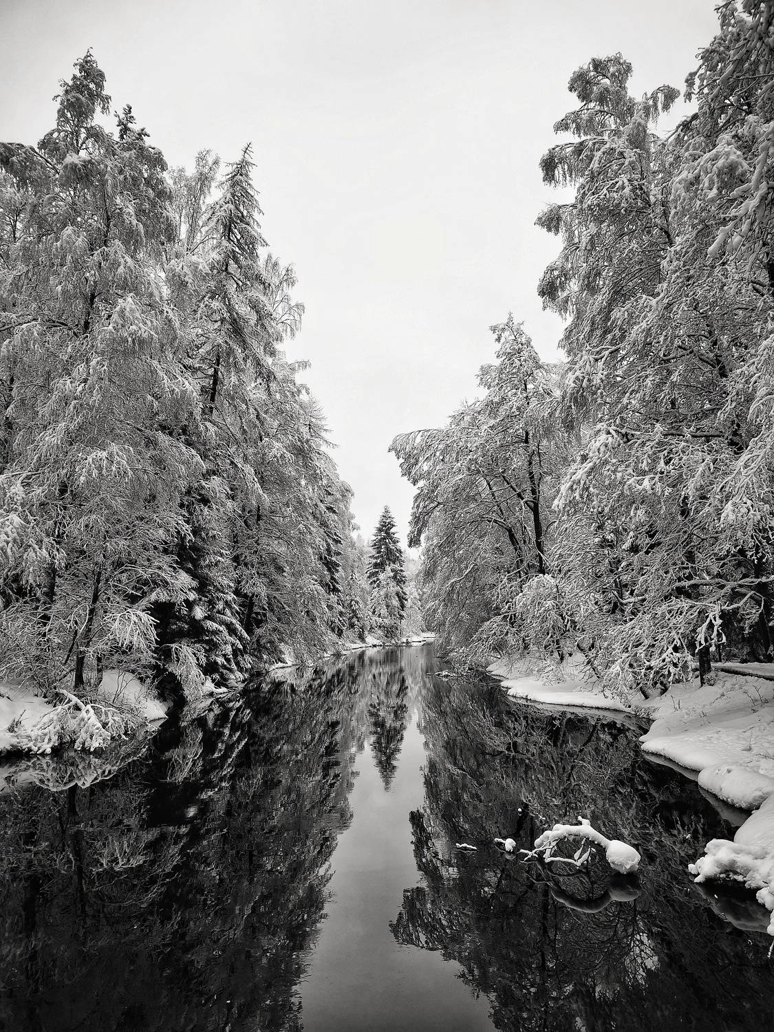 Photo #7197963