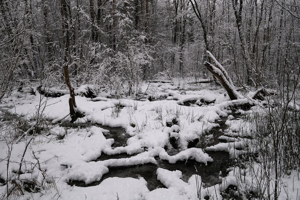 Photograph by Irina Kivimäe